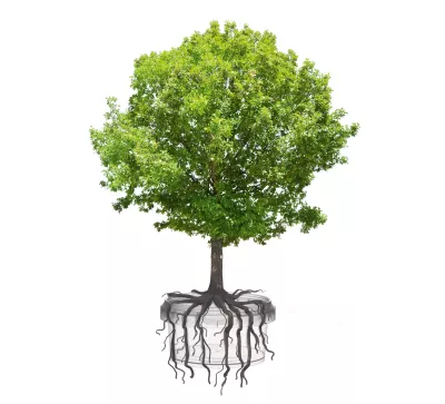 TP95 Go Green - tree growing around plastic cup