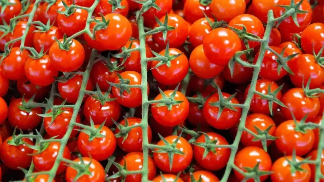 Tomaten